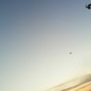 Meet your Posher, Bridget